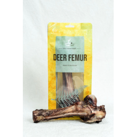 Dear Deer 鹿大腿骨